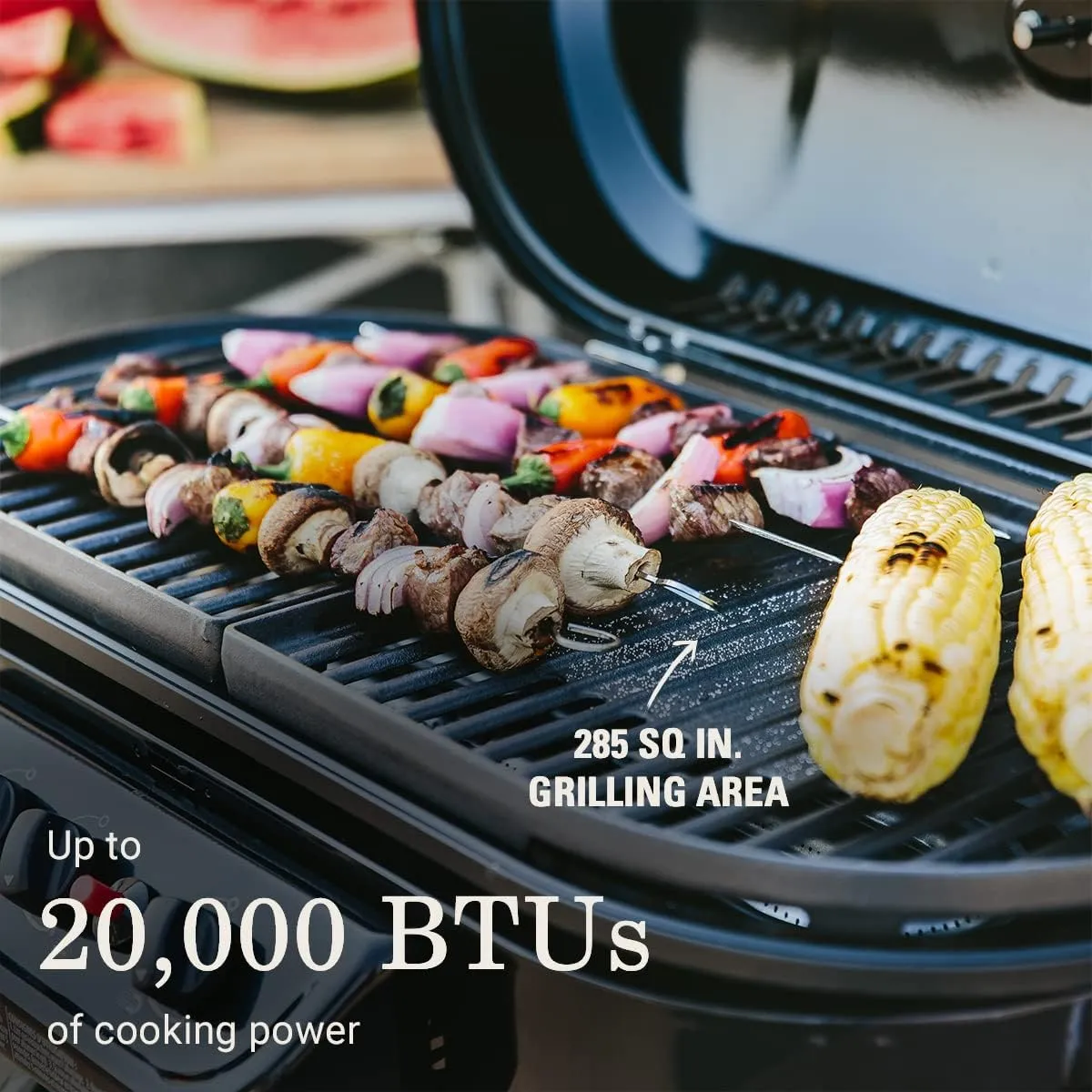 Coleman Gas Grill | Portable Propane Grill | RoadTrip