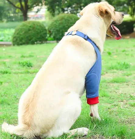 Dog Elbow Protection Brace prevent assist with Hygroma & Callus, provide soft padding on hard surfaces, whilst training, working, recovering many uses