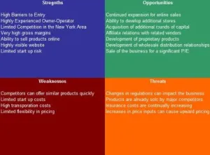 Indoor Playground SWOT Analysis Plus Business Plan